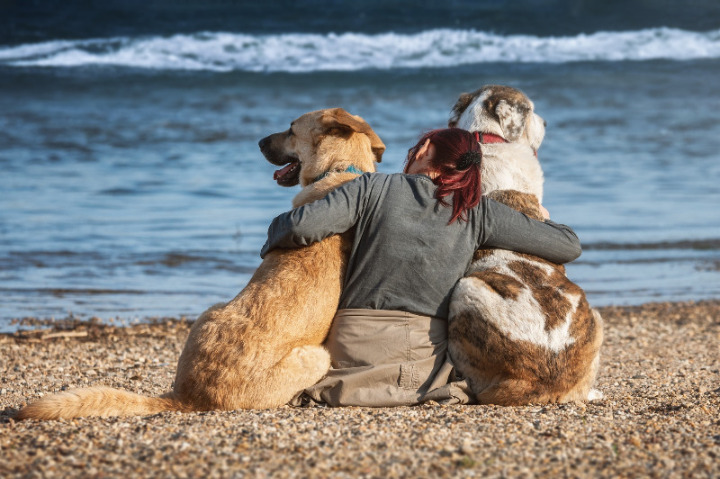 Vertrauen, Frau sitzt am Strand und umarmt zwei große Hunde